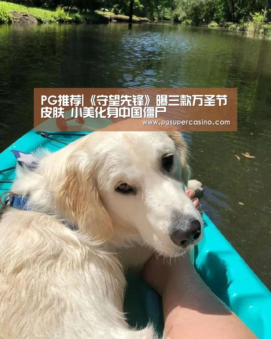 PG老虎机