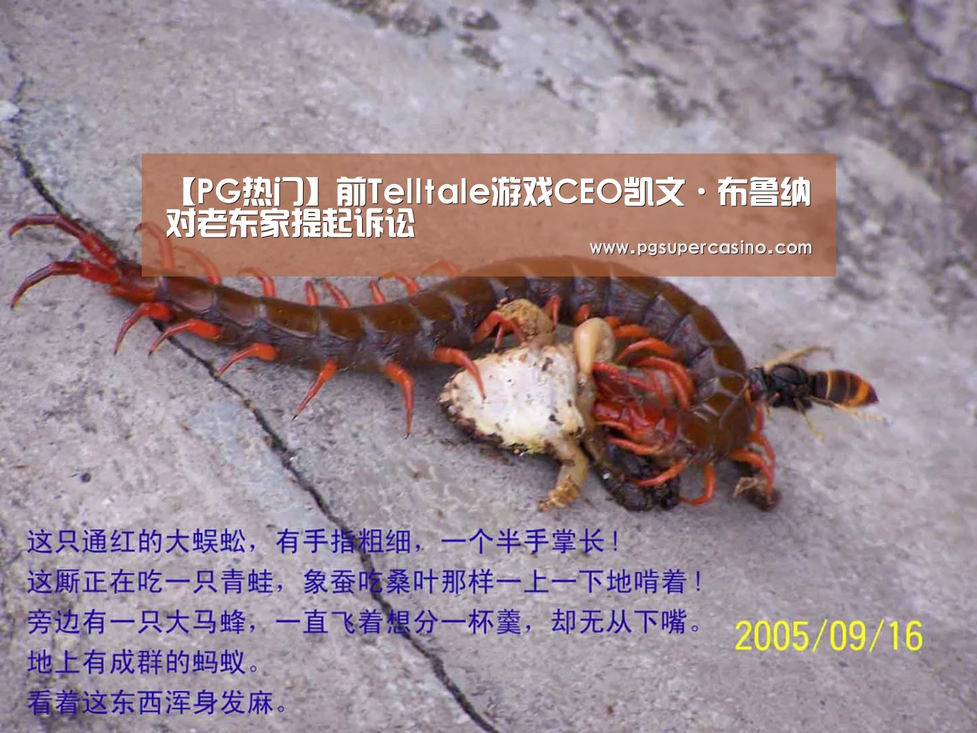 【PG热门】前Telltale游戏CEO凯文·布鲁纳对老东家提起诉讼(图4) PG老虎机