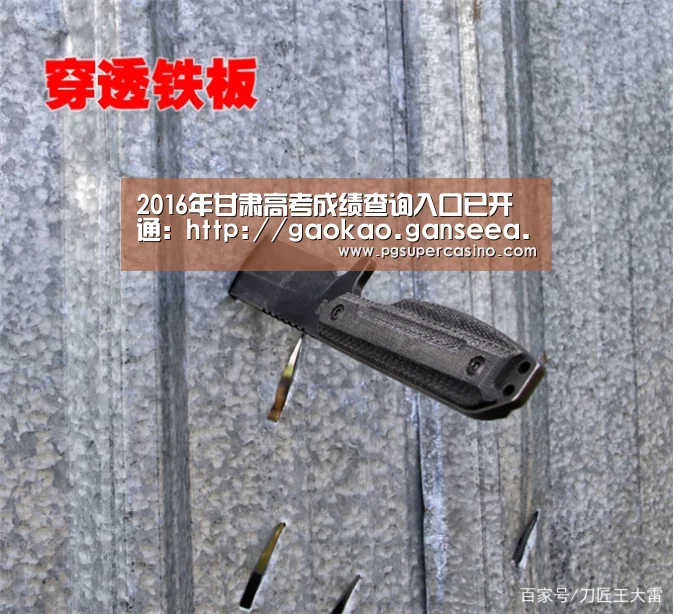 2016年甘肃高考成绩查询入口已开通:http://gaokao.ganseea.cn/:PG推荐(图3) PG老虎机