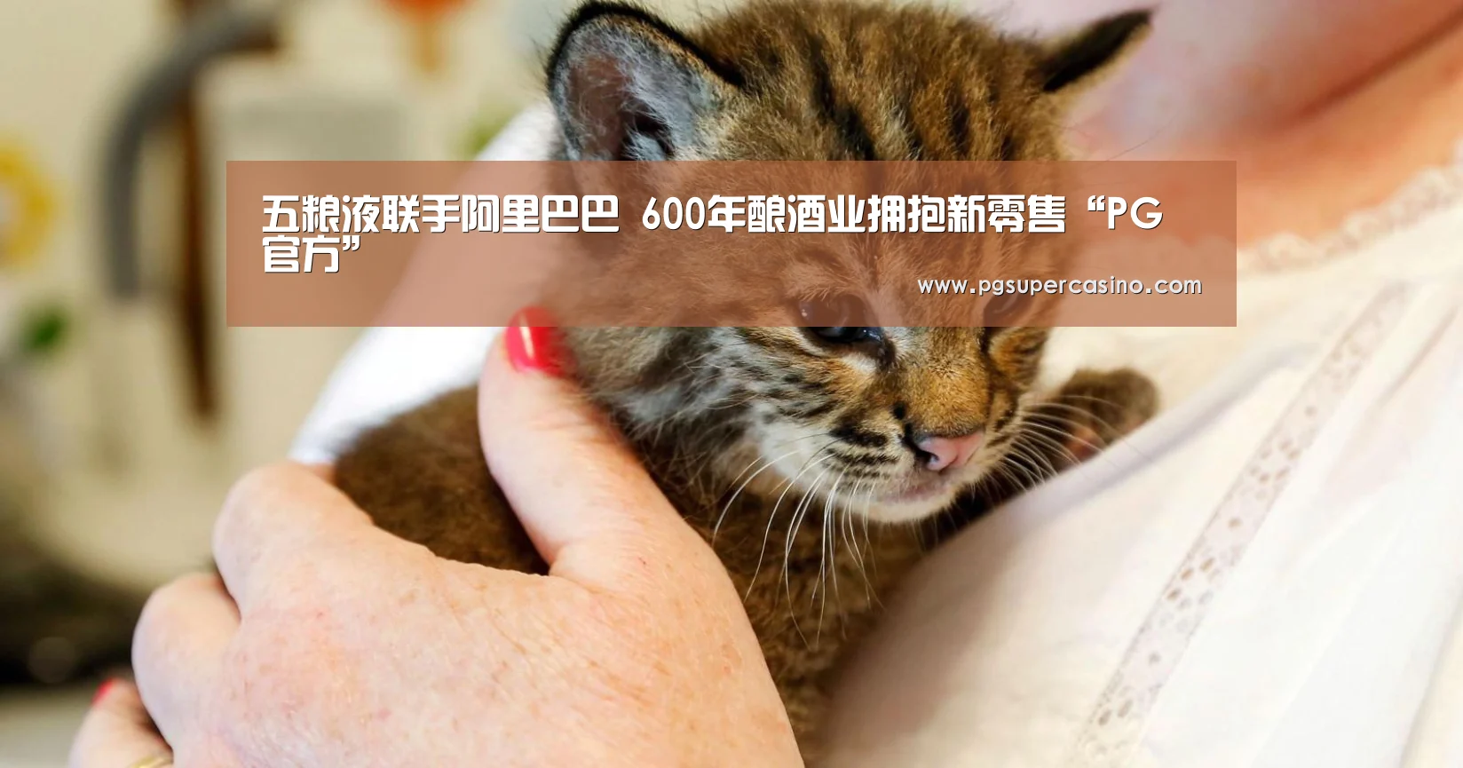 五粮液联手阿里巴巴 600年酿酒业拥抱新零售“PG官方”(图1) PG老虎机