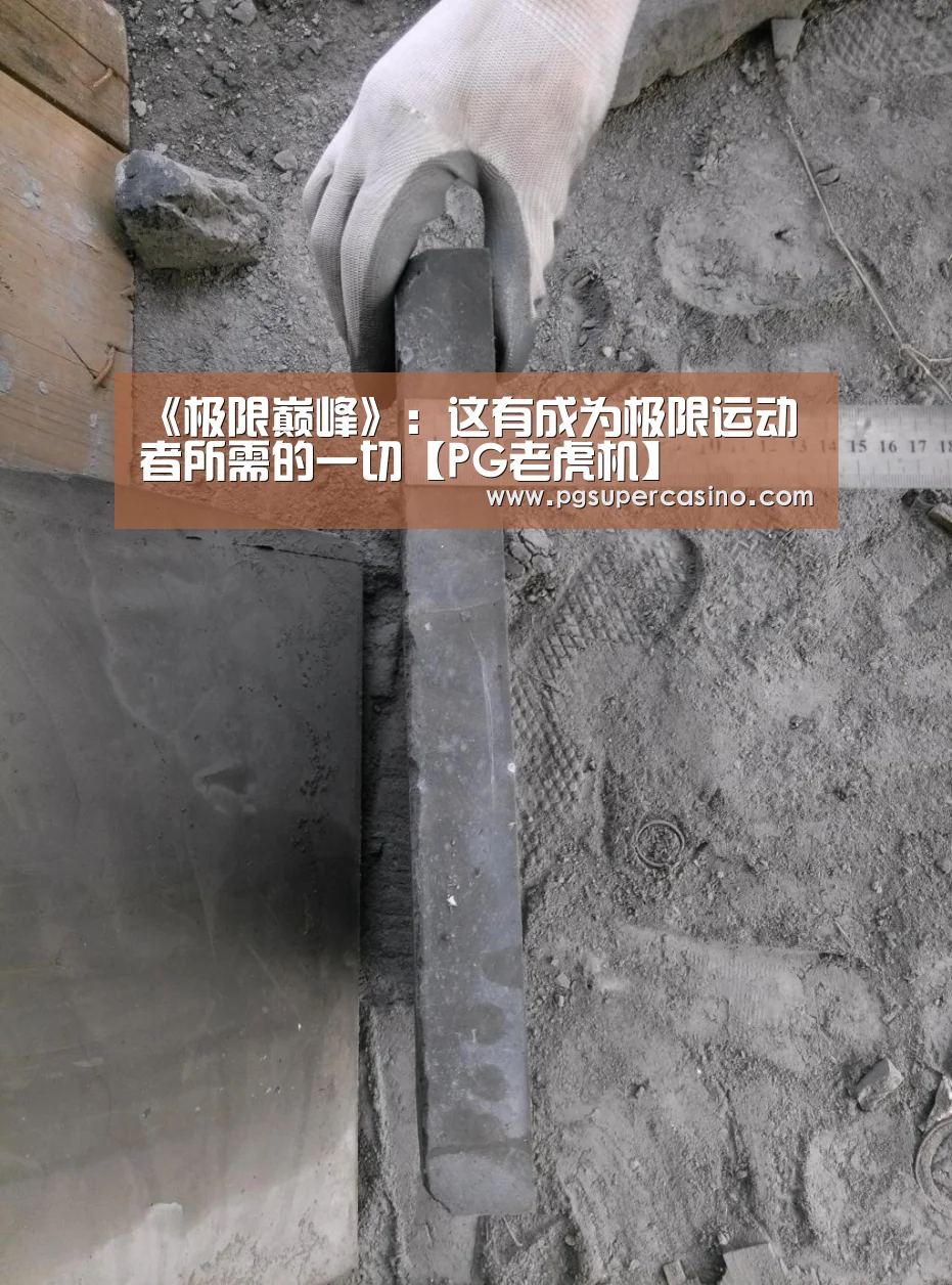 《极限巅峰》:这有成为极限运动者所需的一切【PG老虎机】(图2) PG热门