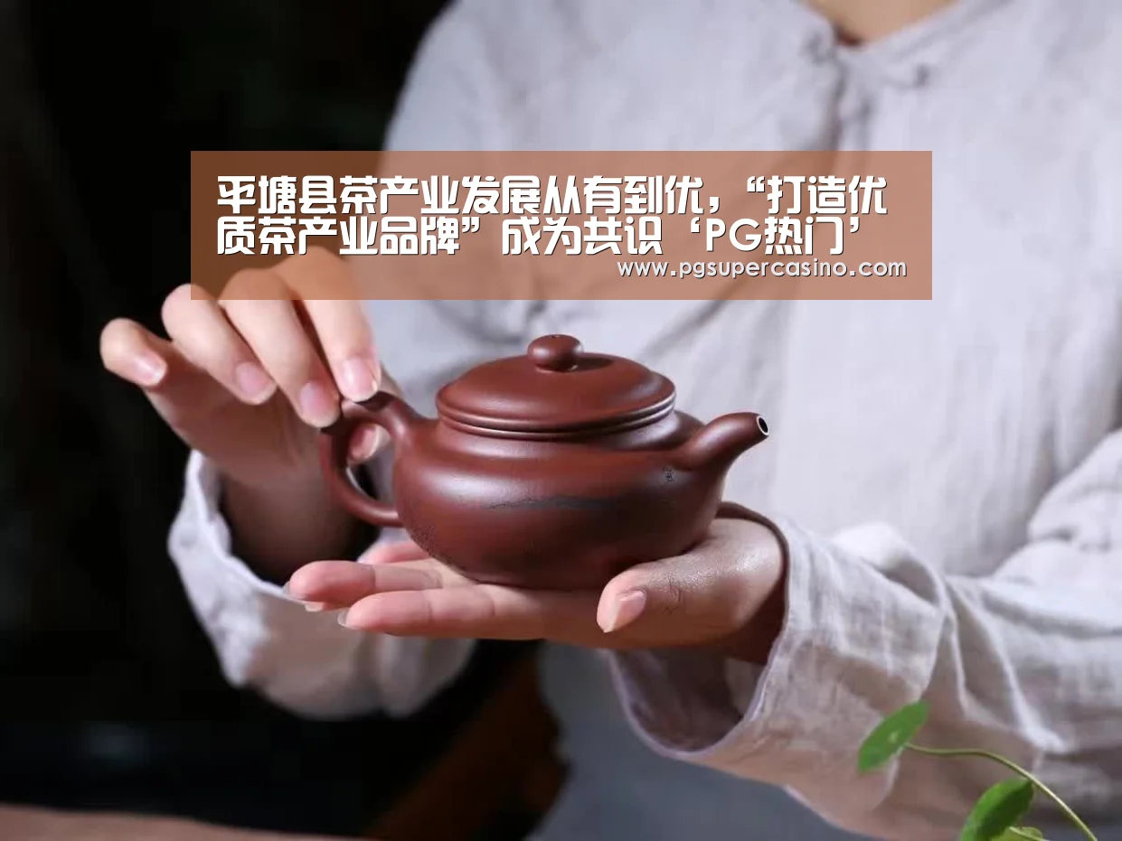 平塘县茶产业发展从有到优,“打造优质茶产业品牌”成为共识‘PG热门’(图1) PG热门