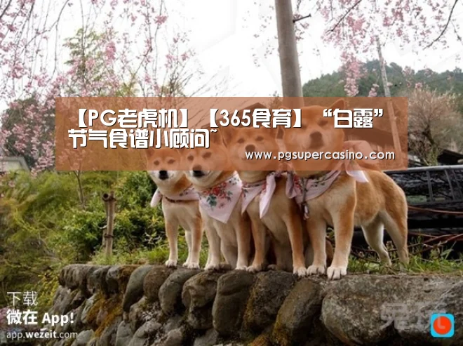 【PG老虎机】【365食育】“白露”节气食谱小顾问~(图2) PG官方
