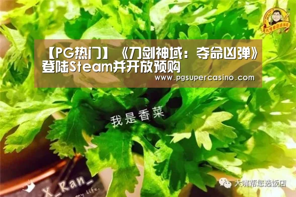 【PG热门】《刀剑神域:夺命凶弹》登陆Steam并开放预购(图3) PG官方