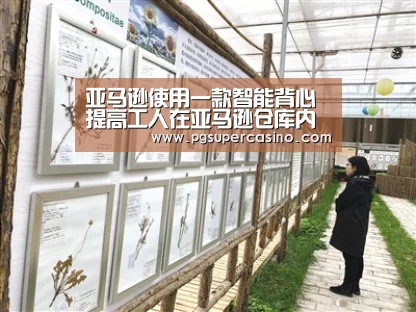 PG官方